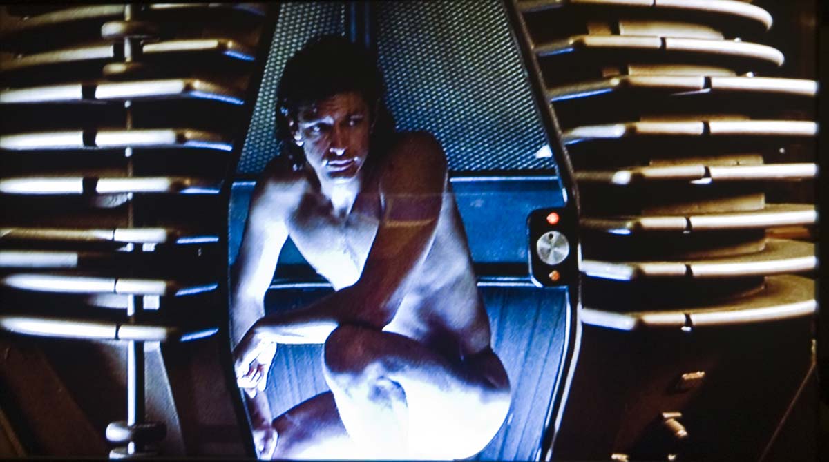 Jeff Goldblum i Cronenberg-versionen av "The Fly"