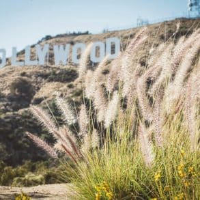 Hollywood
