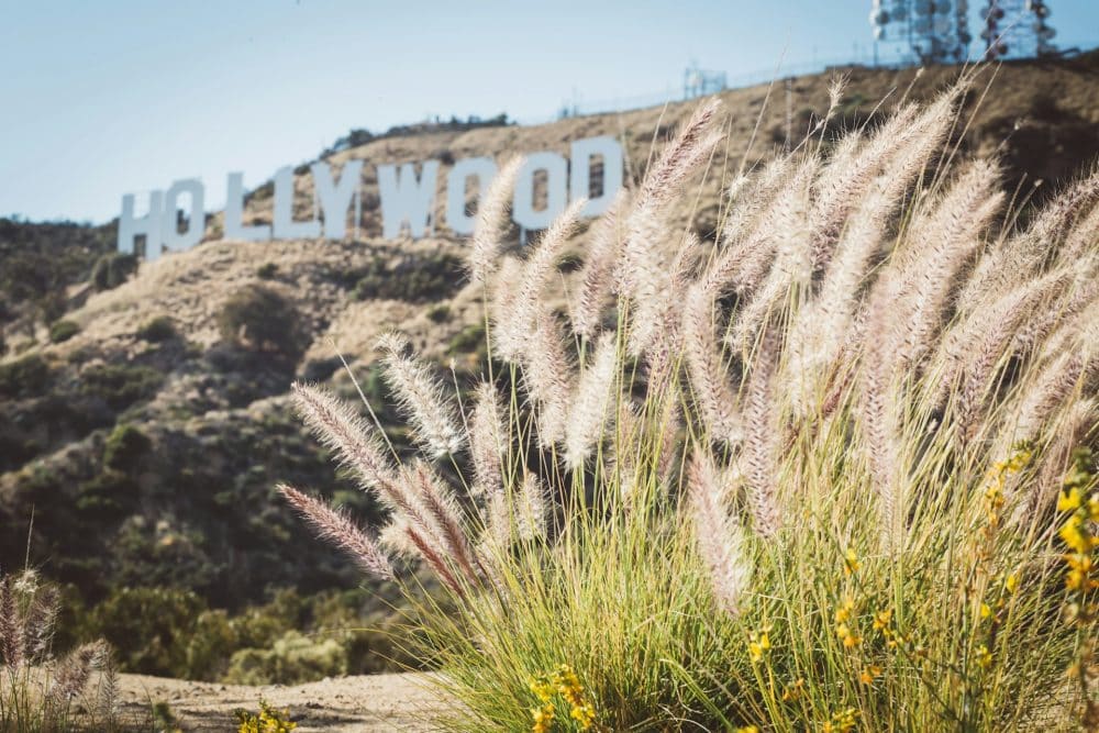 Hollywood